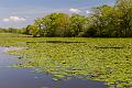 2018_04_21_La campagne de Cercy La Tour (0003)